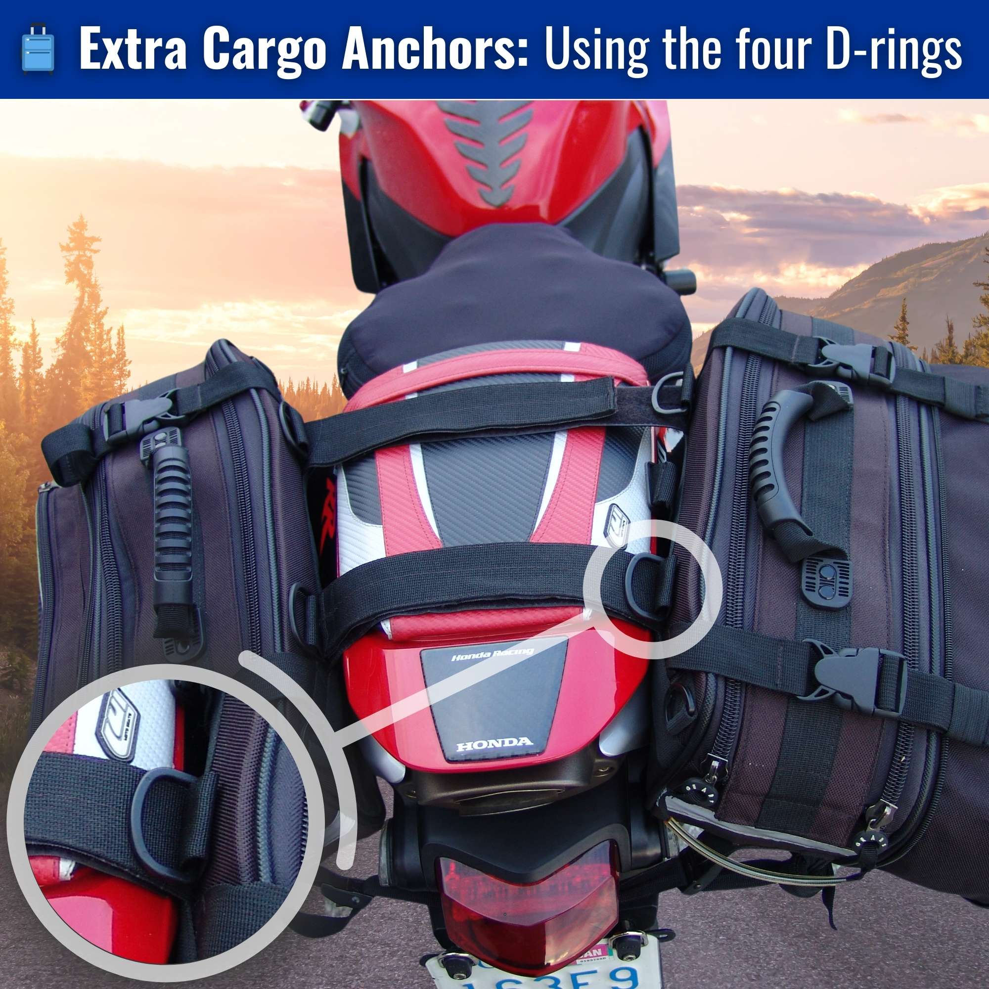 Tourister Motorcycle Saddlebags