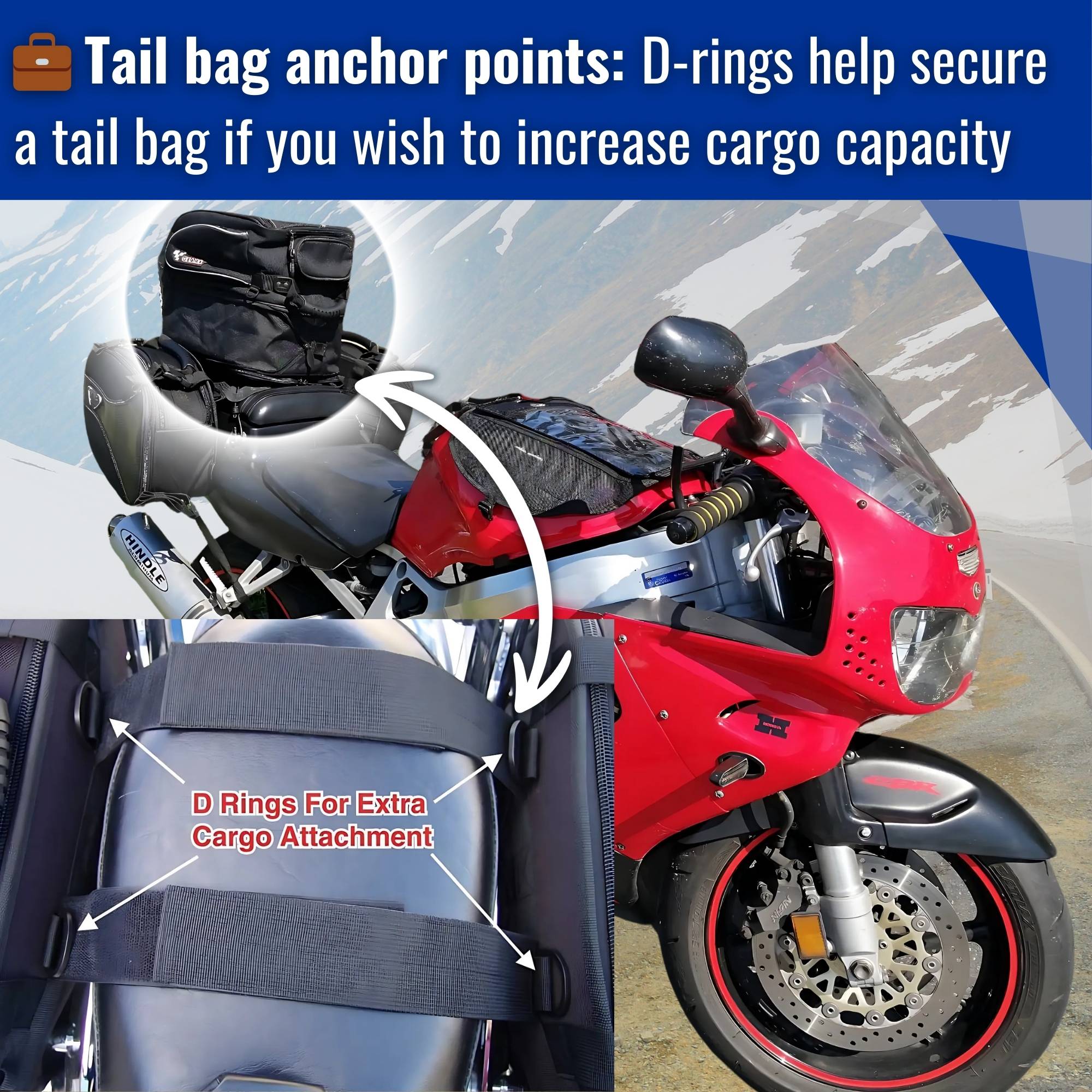Voyager Motorcycle Saddlebags
