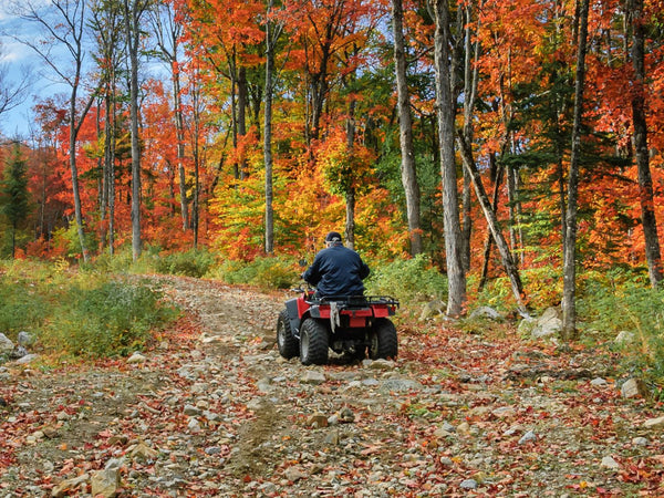 Fat Old Man on ATV Parked in Forest with Fallen Leaves
